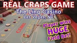 HUGE FIELD BET WIN! - Live Craps Game #25 - The Linq, Las Vegas, NV - Inside the Casino