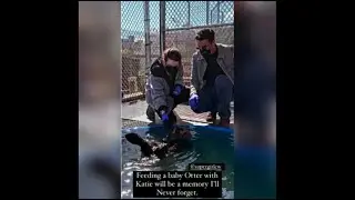 Katie mcgrath and Staz nair feed otter #10