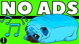 RELAXING DOG MUSIC (NO ADS PART 5)