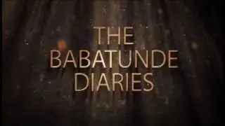 The Babatunde Diaries