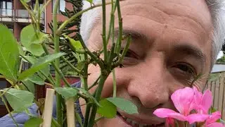 CHEF OKTAY USTA canlı yayında