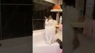 Расскажу тебе тайну.... 