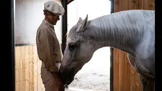 We Love Our Spanish Horses