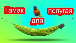 Как согреть попугая !? / Как сделать ГАМАК для попугая своими РУКАМИ!? / Согреваем птицу!