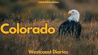 Das schlimmste Motel der ganzen Reise!  - Westcoastdiaries 29