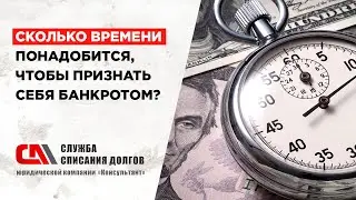Сколько времени понадобится, чтобы признать себя банкротом?