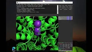 BIO2525 - Tutorial básico PyMOL