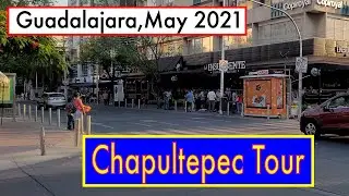 Chapultepec, Guadalajara Daytime Walking Tour 2021