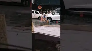 sexy car wash girl 
