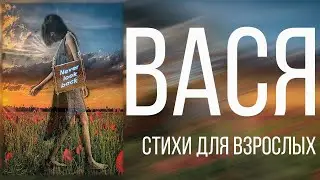 Вася ЮМОРИСТИЧЕСКИЕ СТИХИ ДЛЯ ВЗРОСЛЫХ СМЕШНЫЕ ВЕСЕЛЫЕ СТИХИ