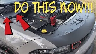 Changing Cabin Filter ll Charger  Scatpack ll Engine Bay Mods