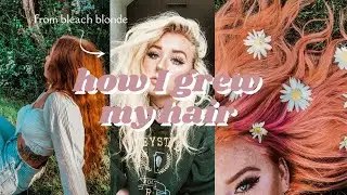 HOW I GREW MY HAIR | no special products - from bleach blonde to long & healthy