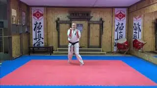Ката "Теншо"