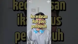 KECERDASAN IKAN PAUS PEMBUNUH 