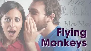 Flying Monkeys and the Smear Campaign
