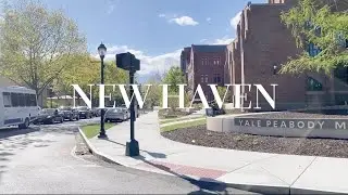 VLOG | Yale Diaries EP15: Business School Final Season, Study with Me, Yale SOM, Yale, New Haven