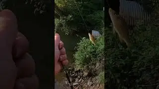 Ultralight fishing with worms