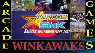 How to run Winkawaks on pc-Winkawaks brief tutorial.