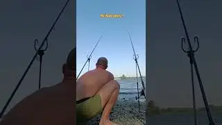 2 сентября 2024 г.