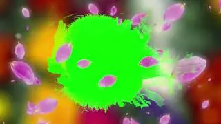 wedding green screen video | wedding green screen effects | green screen video