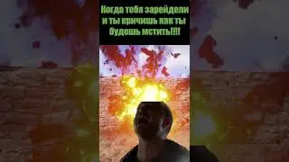 Когда тебя зарейдели в раст и ты кричишь как будешь мстить!! 