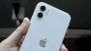iPhone 11 In Mid 2020! (Review)