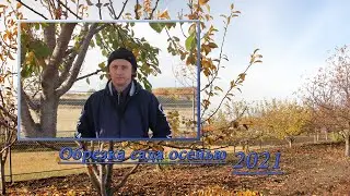 Осенняя обрезка сада