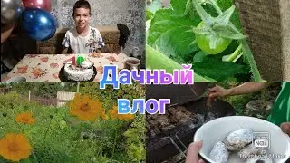 Отпуск на даче / Кирюше 10 лет / Погода не дает работать / Шашлык / Дачный влог