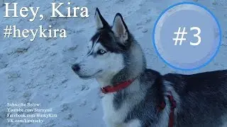 Hey, Kira #3