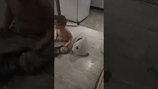 Cat and irakli