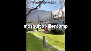 Mosquito killer lamp