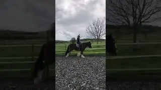 Für die Leute die sagen ich würde meine Pferde quälen und nicht reiten können.