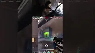 NEON IS NUTS 