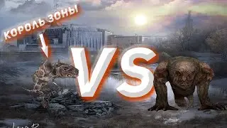 50 ТУШКАНОВ ПРОТИВ ПСЕВДОГИГАНТА