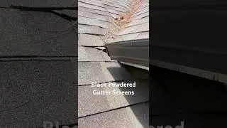 We installed 5” Seamless Gutters with snap-on gutter screens!
