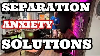 A SOLUTION FOR SEPARATION ANXIETY