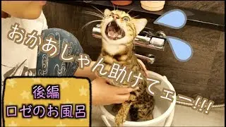 バケツ風呂に浸かりながら必死に助けを求めるロゼが可愛い！！