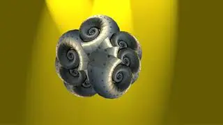 201224ymd Mollusc Video Random Transitions