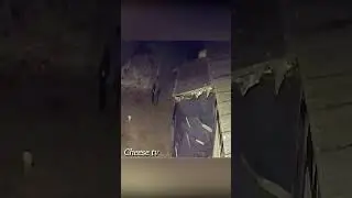 Человек спас собаку от волков.