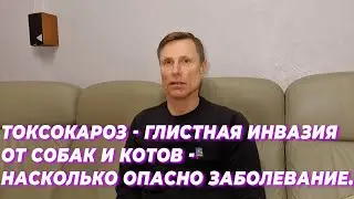 Токсокароз- глистная инвазия от собак и котов. Насколько опасно заболевание.
