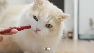 waiting mama give food so long