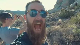 A Beard and His Travels: Summer 2017