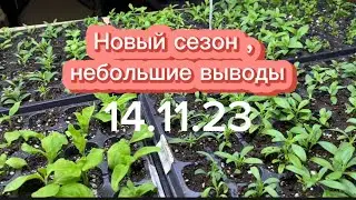 #вегетативнаяпетуния #петуния #калибрахоа #черенки #черенкикупить черенкование новый сезон