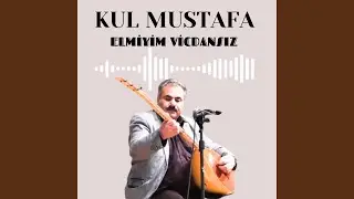 ELMİYİM VİCDANSIZ