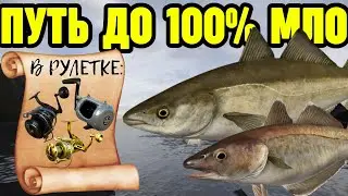 🔴 СТРИМ РР4┃🎁 РОЗЫГРЫШИ КАЖДЫЕ 10 МИНУТ┃💎 ТОПОВЫЕ КАТУШКИ В РУЛЕТКЕ┃🔥 ПУТЬ ДО 100% МЛО┃maXS1k