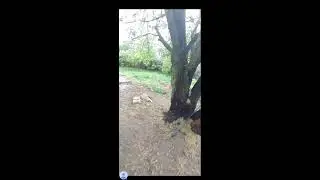 ремонт дома после пожара ч15 ставим двери и окна