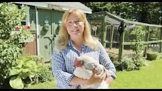 Welcome to my Farm Sizzle Reel