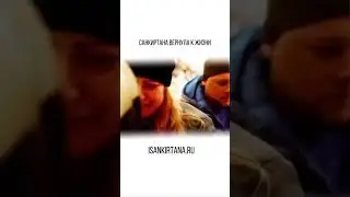 ВЫЙДИ ИЗ ИЛЛЮЗИИ  #вайшнавы #кришна #санкиртана #cat #shotrs #юмор