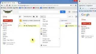 Remove the sharing rights on a Google Drive folder