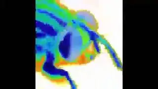 تعليم قص قىضيب زوجىك (طريقه سهله جدآ)